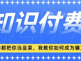 2024最新知识付费项目，小白也能轻松入局，全网都在教你做项目，我教你做镰刀【揭秘】-54创业网