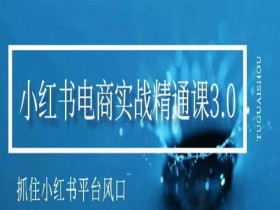 小红书电商实战课3.0：抓住风口赚钱，手把手教你玩转小红书变现-54创业网