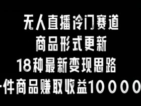 无人直播冷门赛道：18种变现思路揭秘，1件商品赚10000+-54创业网