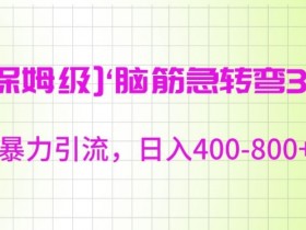 日入400-800+保姆级脑筋急转弯3.0暴力引流揭秘-54创业网