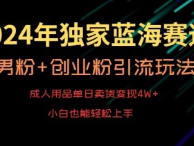 2024年成人用品蓝海赛道：单日变现4W+秘籍，男粉引流创业玩法大揭秘-54创业网