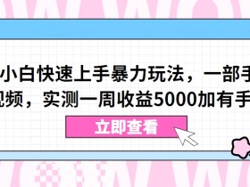 视频号赚钱秘籍：一部手机日赚5000+的暴力玩法，新手小白实测一周见效-54创业网