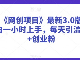 抖音网创项目3.0：小白1小时上手日引300+创业粉实操教程-54创业网