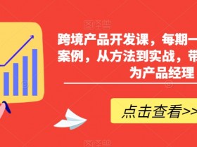 跨境产品开发课：实战案例教学，从0到1成为跨境产品经理-54创业网