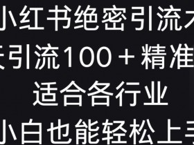 小红书精准引流秘诀：3步日引100+客户，新手也能快速上手！-54创业网