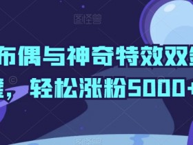 布偶特效涨粉秘籍：5招轻松吸粉5000+，揭秘神奇涨粉技巧-54创业网