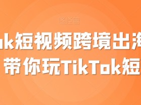 TikTok短视频赚钱教程：跨境出海撸美金实战指南-54创业网
