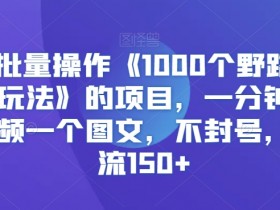 快手批量操作1000个信息差玩法：1分钟1视频1图文，日引流150+不封号-54创业网