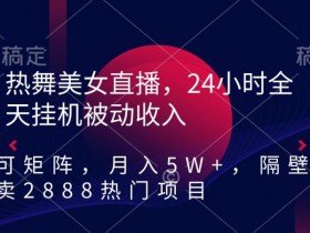 热舞美女直播项目：24小时自动赚钱，矩阵操作月入5W+，2888元热门副业大揭秘-54创业网