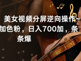美女视频分屏逆向玩法：日引600色粉日入700，条条爆款揭秘-54创业网