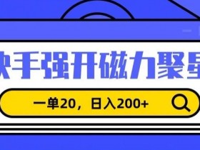 快手强开磁力聚星赚钱：信息差项目揭秘，单赚20日入200+-54创业网