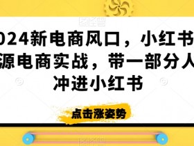 2024小红书无货源电商实战：抓住新风口，带你抢先赚第一桶金-54创业网