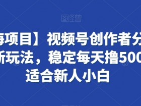 视频号赚钱：新人小白如何日赚500米？蓝海项目创作者分成玩法揭秘-54创业网