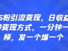 S粉引流变现日赚300+：1分钟视频爆款秘籍，多种变现方式大揭秘-54创业网
