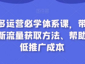 拼多多运营必学课：最新流量获取与低成本推广技巧-54创业网