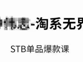 2024淘系无界STB爆款课：万相台无界关键词推广+精准人群玩法，付费带动免费流量核心逻辑-54创业网