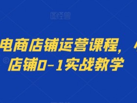 小红书电商运营课程：0-1实战教学，手把手教你开赚钱店铺-54创业网