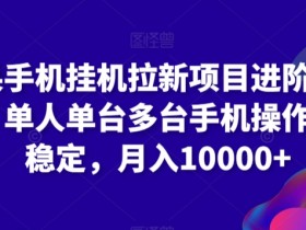 苹果手机自动拉新项目：单人单台多机操作，稳定月入10000+技巧揭秘-54创业网