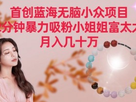 2分钟暴力吸粉小姐姐富太太：首创蓝海无脑小众项目，月入几十万揭秘-54创业网