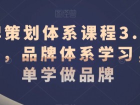 品牌体系课程3.0：简单学会品牌策划与升级实战-54创业网