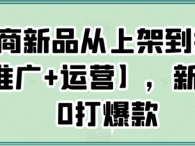 电商新品推广运营：新手0基础打爆款全攻略-54创业网