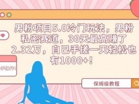 男粉项目5.0冷门玩法：30天赚2.32万，私密赛道手搓日入1000+揭秘-54创业网