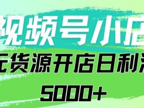 视频号无货源小店赚钱秘籍：0基础日赚5000+，千单实操攻略-54创业网