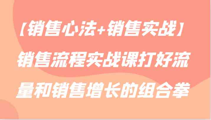 销售心法实战课：流量变现与销售增长的高效组合拳-54创业网