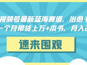 抖音视频号蓝海赛道：治愈书籍带货月入2万+，上万本销量揭秘-54创业网