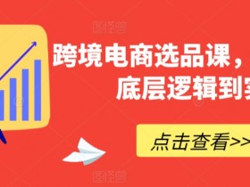 跨境电商选品课：从底层逻辑到爆款实战，手把手教你高效选品-54创业网