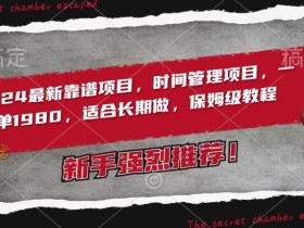 2024时间管理项目：靠谱长期副业，收徒1980一单，保姆级教程揭秘-54创业网