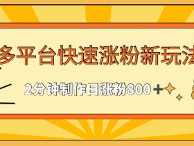 2分钟日涨粉800+：多平台快速涨粉最新玩法大揭秘-54创业网