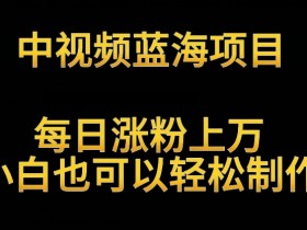 揭秘中视频蓝海项目：英雄人物生平解读，日涨粉过万，新手轻松月入过万-54创业网