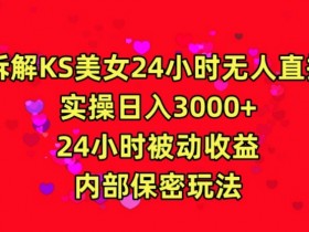 快手无人直播赚钱秘籍：24小时美女直播日入3000，被动收益实操大揭秘-54创业网