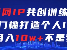 零基础打造个人IP：互联网IP共创训练课，揭秘月入10w+实战技巧-54创业网