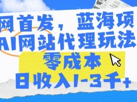 AI网站代理赚钱：零成本日入1-3千+的蓝海项目揭秘-54创业网