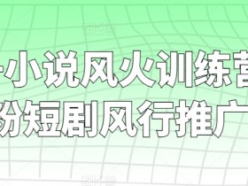0粉也能赚！短剧推广训练营：小说风火营爆单攻略-54创业网