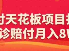 网诊赔付项目拆解：月入8W+的赔付天花板玩法大揭秘-54创业网