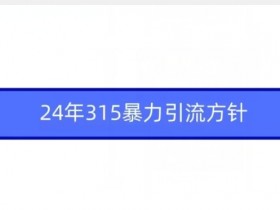 2024年315暴力引流最新策略：高效获客秘诀大公开-54创业网