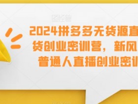 2024拼多多无货源直播带货创业密训营：普通人抓住新风口，0成本开启直播赚钱-54创业网