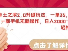 率土之滨2.0赚钱攻略：手机日赚2000+小白教程，35元起无脑操作-54创业网