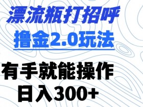 漂流瓶赚钱：2.0撸金玩法揭秘，轻松日入300+，有手就能做-54创业网