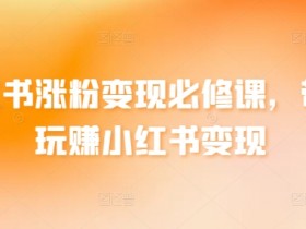 小红书涨粉变现攻略：3步玩赚小红书，轻松实现月入过万-54创业网
