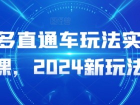 2024多多直通车新玩法实操课：爆款打造技巧与流量提升秘籍-54创业网