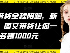 新手必看：AI图文带货全程陪跑，一天多赚1000元实战教程-54创业网