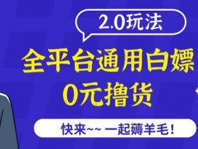 全平台通用撸货项目2.0：揭秘0成本白嫖玩法，外面收费2980！-54创业网