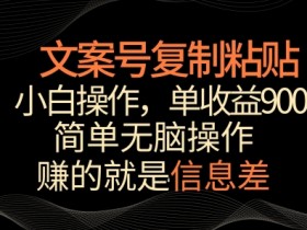 小白轻松赚900+！文案号掘金：复制粘贴单作品高收益揭秘-54创业网