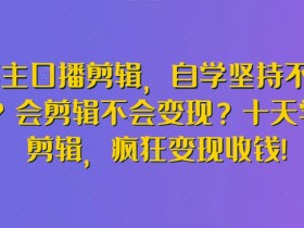 10天学会剪辑变现：博主口播剪辑教程，新手也能轻松赚钱-54创业网