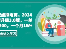 2024私域虚拟电商3.0版：一单赚50-200元，月入1W+实操揭秘-54创业网