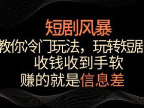 冷门短剧赚钱玩法：收钱手软的暴利秘诀揭秘-54创业网